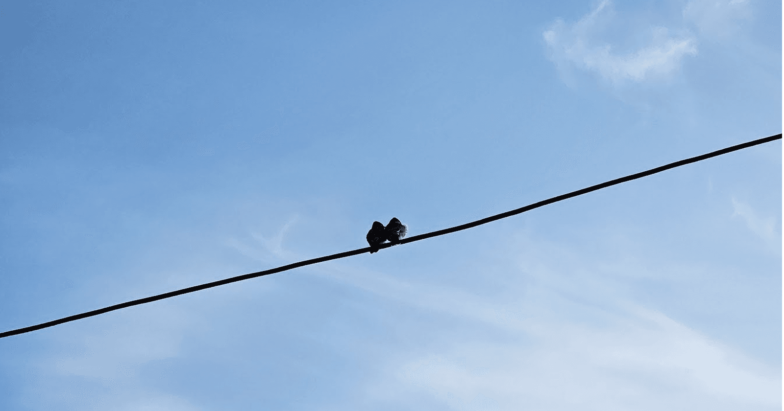 The Pigeonhole Principle